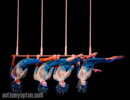 20100103         Copyright image 2010©
Triple Trapeze - Rebecca Jose, Jade Morin, Michele Ramos and Stella Umeh
Cirque du Soleil celebrates its 25th anniversary with a special return visit to the Royal Albert Hall with Varekai in January 2010.
The word Varekai means 'wherever' in the Romany language of the gypsies, the universal wanderers. 
Dress rehearsal for the new Cirque du Soleil show - Varekai, at the Royal Albert Hall, central London, on Sunday 3rd January 2010. The show opens 6th January.

For photographic enquiries please call Anthony Upton 07973 830 517 or email info@anthonyupton.com 
This image is copyright Anthony Upton 2010©.
This image has been supplied by Anthony Upton and must be credited Anthony Upton. The author is asserting his full Moral rights in relation to the publication of this image. All rights reserved. Rights for onward transmission of any image or file is not granted or implied. Changing or deleting Copyright information is illegal as specified in the Copyright, Design and Patents Act 1988. If you are in any way unsure of your right to publish this image please contact Anthony Upton on +44(0)7973 830 517 or email: <info@anthonyupton.com>